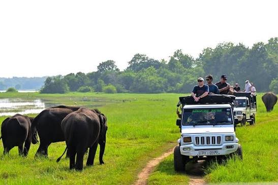 MINNERIYA NATIONAL PARK SRI LANKA